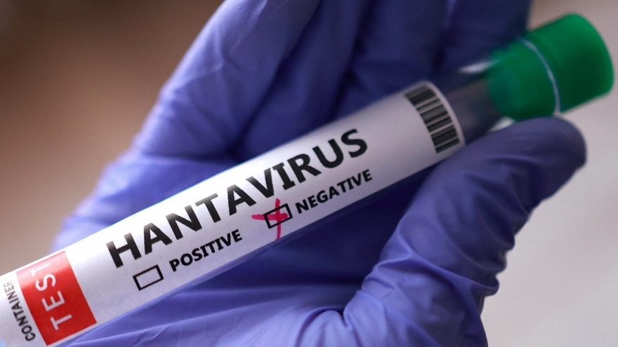 Lo ngại virus Hanta, nhiều nước khẩn trương truy vết hành khách từ tàu du lịch